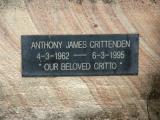 image of grave number 718302